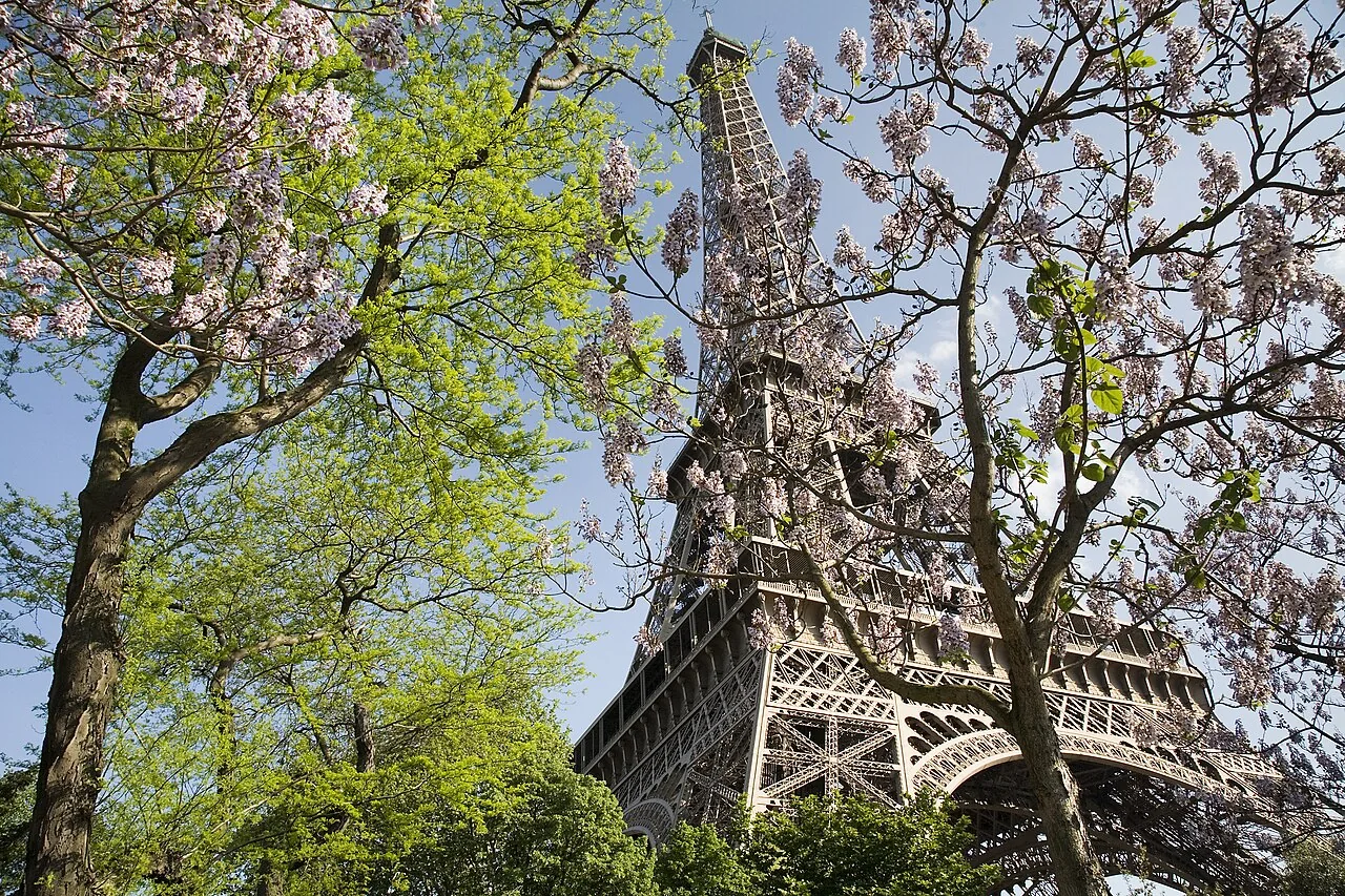 Eiffel Tower, Paris